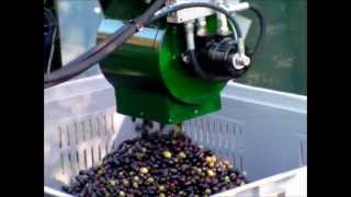 Aspiratore olive CRF da bins 2012wmv [upl. by Sesom]