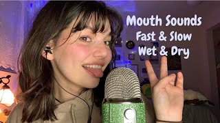 ASMR  Upclose Fast and Slow Mouth Sounds Wet and Dry and Hand Movements  Pure Mouth Sounds [upl. by Ario]