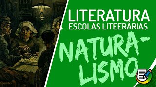 Naturalismo  Literatura  ENEM 2020 [upl. by Annairb]