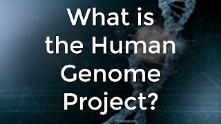 What is the Human Genome Project [upl. by Annis140]