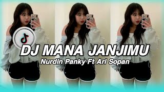 DJ JANJI MANISMU  Nurdin Panky Ft Arif Sopan  SOUND TIKTOK VIRAL 2024 [upl. by Gery69]