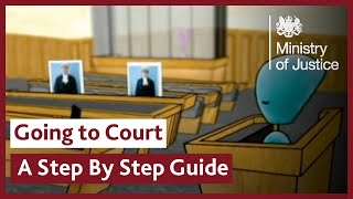 A StepbyStep Guide  Going to Court as a Witness [upl. by Naesad]