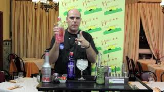 COMO PREPARAR UN GIN TONIC DE FRESA LARIOS ROSÉ [upl. by Hephzipa]