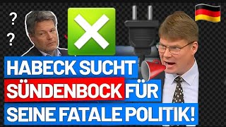 Habeck die grünen sucht SÜNDENBOCK für Seine FATALE POLITIK Grünes Idol packt aus [upl. by Sower17]