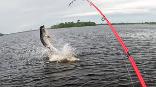 EPIC River Monster Kayak Fishing  Crazy Tarpon Jumps on Kayak [upl. by Accever350]