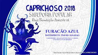 Boi Caprichoso 2018  Sabedoria Popular  Uma Revolução Ancestral Toadas Demo Oficiais [upl. by Darwen161]