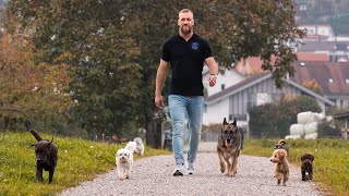 Marc Welti HundetrainingDer Hund ohne Leine [upl. by Arriek]