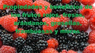 Propiedades y beneficios de los frutos rojos fresas arándanos grosellas frambuesas y moras [upl. by Redep]