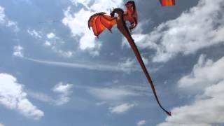 A very cool Dragon Kite [upl. by Andrus]