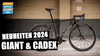 GIANT TCR 2024 🔥 und richtig schnelle Laufräder von CADEX [upl. by Moor976]