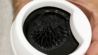 How to Make Ferrofluid at Home [upl. by Diad852]