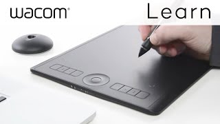 How to Hold a Wacom Pen [upl. by Einiffit241]