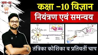 अध्याय06 नियंत्रण एवं समन्वय Control and Coordination  तंत्रिका कोशिका Nerve Cell व प्रतिवर्ती चाप [upl. by Innoj660]