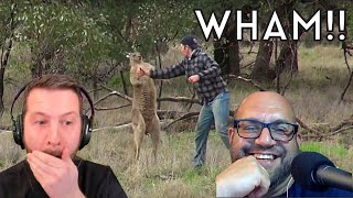 Americans React to Aussie Guy Squaring Up a Kangaroo [upl. by Aseiram79]