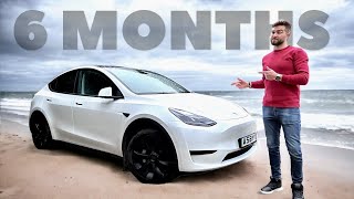 Tesla Model Y Review 6 Months Later  A BIG REGRET [upl. by Landrum396]