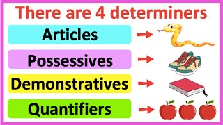 DETERMINERS 🤔  Articles Possessives Demonstratives amp Quantifiers  Learn with examples [upl. by Panaggio]