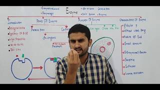 Ch 3 Lec1 Enzyme Introduction Fsc Part1 Ch3 UrduHindi lecture MDCAT NEET NCERT Pre By M Bilal [upl. by Annol]