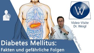 Hab ich Diabetes Mellitus Die berüchtigte Zuckerkrankheit einfach erklärt amp Tipps bei Insulinmangel [upl. by Attenna]