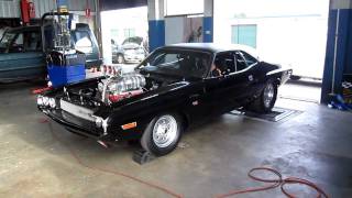 1600HP Dodge Challenger Dyno Run Australia [upl. by Walkling]