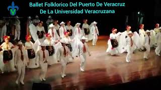 Son jarocho quotLa Iguanaquot Ballet Folklorico Del Puerto de Veracruz UV [upl. by Kalinda411]