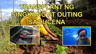 TRANSPLANT NG SINGKANG AT OUTING SA LUCENA [upl. by Esilrac81]