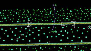 Electrotonic Potential [upl. by Kellina]