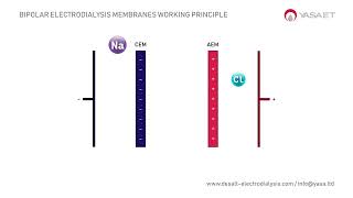 Bipolar Electrodialysis Membranes Working Principle in 1 min  DESALT by YASA ET [upl. by Schick]