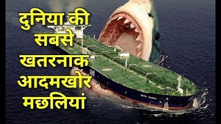 दुनिया की सबसे खतरनाक आदमखोर मछलिया  Most Dangerous and Deadliest Fish Species in the World [upl. by Nanyk]