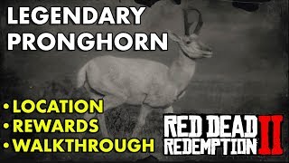 Red Dead Redemption 2  Legendary Pronghorn Location Rewards Walkthrough [upl. by Arammat]