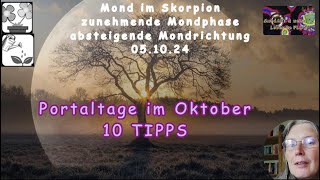 Portaltage im Oktober  10 Tipps wie du damit umgehen kannst [upl. by Otti362]