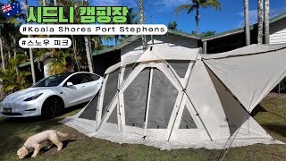 🇦🇺시드니 캠핑  스노우피크  리빙쉘 롱프로  IGT 테이블  Aspen Holidays Koala Shores  Port Stephens EP21 [upl. by Nalid]