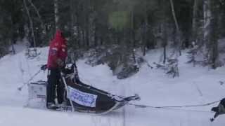 YQ2015  Lance Mackey on the last leg of the race 19th February [upl. by Acinnad]