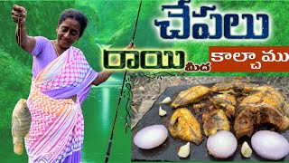 చేపలు పట్టి రాయి మీద కాల్చాము  cooked fishes on stone  fish hunting  tawa fish [upl. by Iahc266]