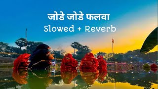 Jode Jode Falaw Slowed Reverb Song  Jode Jode Falaw Pawan Singh  Chatha Puja New Song [upl. by Dnalyaw]