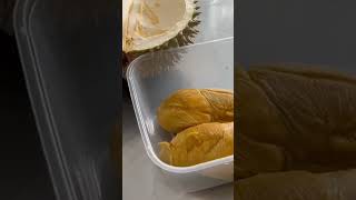 fruits Durian Terbaikdurian [upl. by Greene]