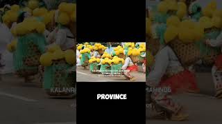 Lanzones Festival in Camiguin youtubeshorts phlippines travel [upl. by Ilatfen]