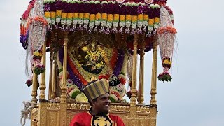 Mysuru Dasara Ambari🛕🛕 possession to Bannimantap dasara ambari dasara2024 youtube shorts [upl. by Apilef987]