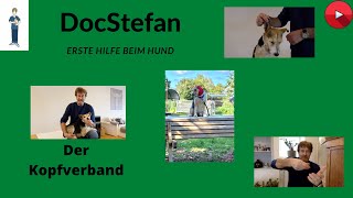 DocStefan Blog Video 12 Erste Hilfe beim Hund Der Kopfverband Eine interaktive Anleitung [upl. by Aisset]