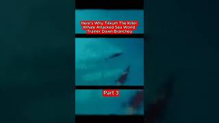 a tragic end to a young life orca dolphin news whale shark basedontruestory youtube [upl. by Akemat963]