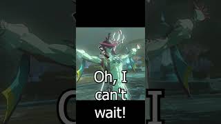 Link and Sidon Smash zeldatotk zelda totk botw breathofthewild sidon link tearsofthekingdom [upl. by Assetan]