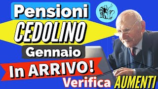 PENSIONI 👉 CEDOLINO GENNAIO CON GLI AUMENTI IN ARRIVO❗️Verifica NUOVI IMPORTI NETTI della pensione ✅ [upl. by Aihselef]