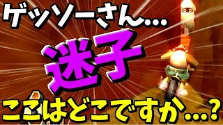 イカ「ダメよこっちの世界に来てはいけない戻って」【マリオカートWii】 [upl. by Natika]