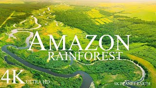 Amazon 4K ULTRA HD 60fps  Amazon Rainforest [upl. by Cantone]