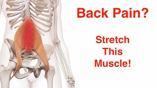 No More Back pain with the Psoas muscle stretch [upl. by Tnerual]