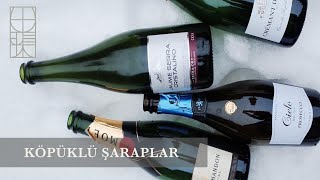 KÖPÜKLÜ ŞARAPLAR  ŞAMPANYA  CAVA  PROSECCO [upl. by Yraht]