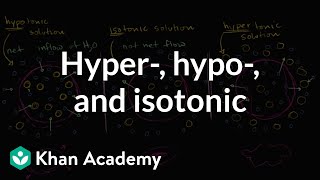 Hypotonic isotonic and hypertonic solutions tonicity  Khan Academy [upl. by Eimme300]