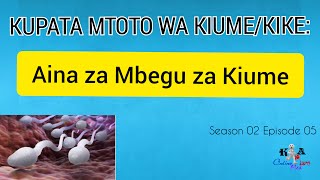 KUPATA MTOTO WA KIKEKIUME MBEGU YA KIUME  AINA ZA MBEGU ZA KIUME  SPERM  KA Med Info2020 [upl. by Adnil]