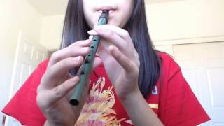 Last of the Mohicans and Braveheart  Tin Whistle [upl. by Eladnek]