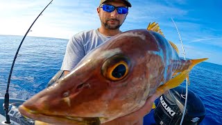 First BAHAMA trip on the New Boat Catch Clean Cook Blackened Bahamian Snapper [upl. by Rihaz602]