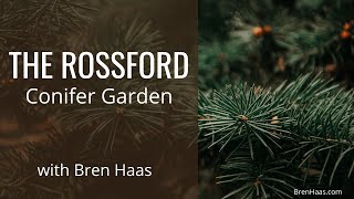 The Rossford Ohio Conifer Garden [upl. by Mady882]